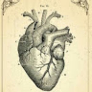 Meet your Posher, Lilly